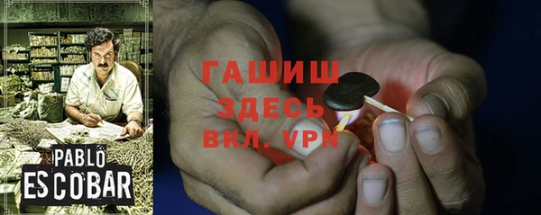 мдпв Ладушкин